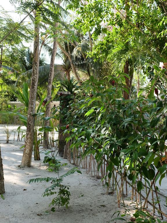 Rumah Jah Langkawi Pantai Cenang  Εξωτερικό φωτογραφία